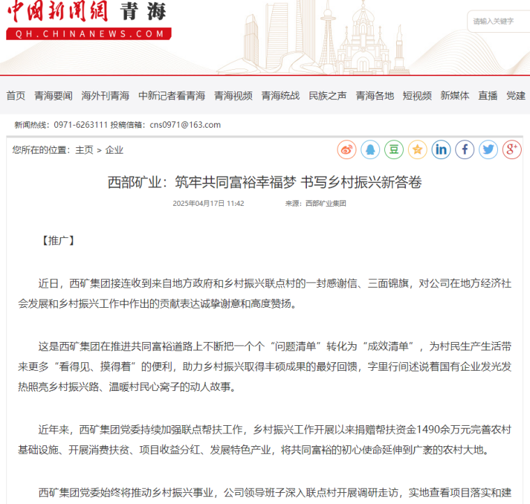 中新网青海 乡村振兴.png